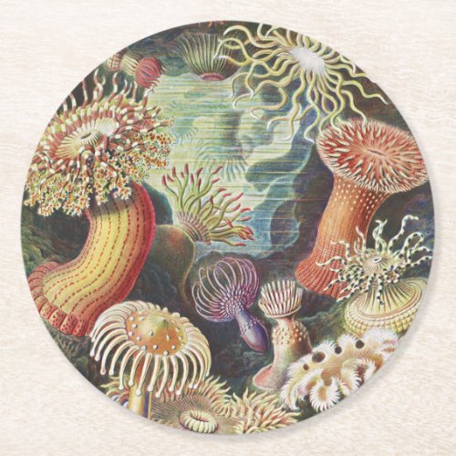 Sea Anemones Actiniae Seeanemonen Ernst Haeckel Round Paper Coaster