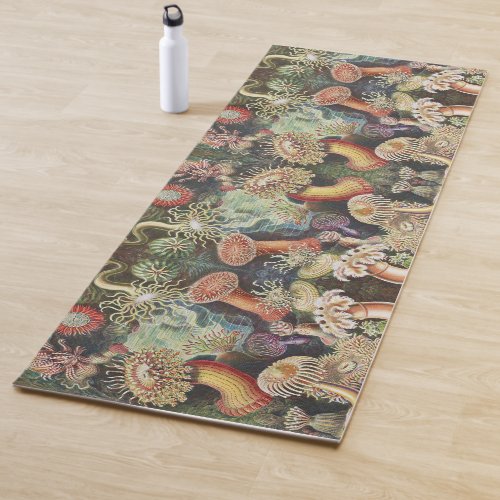 Sea Anemones Actiniae Seeanemonen Ernst Haeckel Yoga Mat