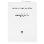 Sea Anemones Ernst Haeckel Fine Art (Back)