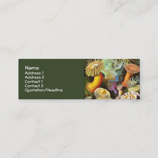 Customizable Vintage Sea Anemones, Ernst Haeckel Business Card