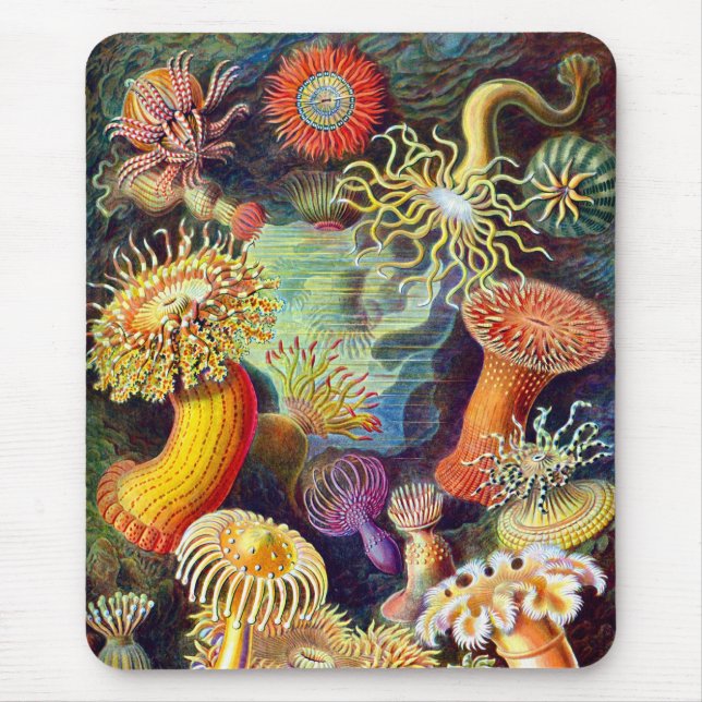 Sea Anemones Ernst Haeckel Fine Art Mouse Pad (Front)