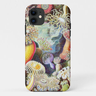 Sea anemones illustration by Ernst Haeckel iPhone 11 Case