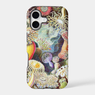 Sea anemones illustration by Ernst Haeckel iPhone 17 Case