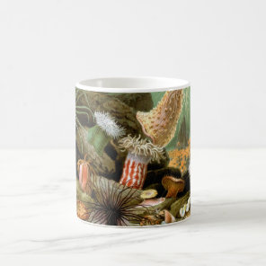 Sea Anemones Marine Life, Vintage Ocean Animals Coffee Mug