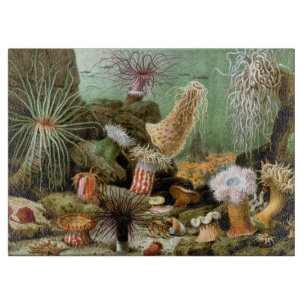 Sea Anemones Marine Life, Vintage Ocean Animals Cutting Board