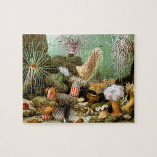 Sea Anemones Marine Life, Vintage Ocean Animals Jigsaw Puzzle