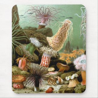 Sea Anemones Marine Life, Vintage Ocean Animals Mouse Pad