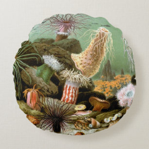 Sea Anemones Marine Life, Vintage Ocean Animals Round Pillow