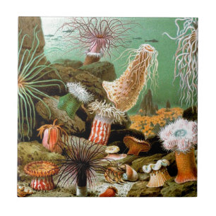 Sea anemones underwater scene ceramic tile