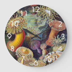 Sea Anemones, Vintage Actiniae by Ernst Haeckel Large Clock