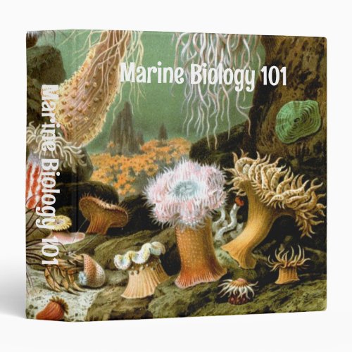 Sea Anemones Vintage Marine Life Ocean Animals 3 Ring Binder