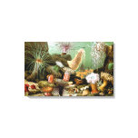 Sea Anemones, Vintage Marine Life Ocean Animals Canvas Print