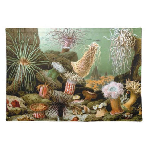 Sea Anemones Vintage Marine Life Ocean Animals Cloth Placemat