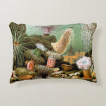 Sea Anemones, Vintage Marine Life Ocean Animals Decorative Pillow