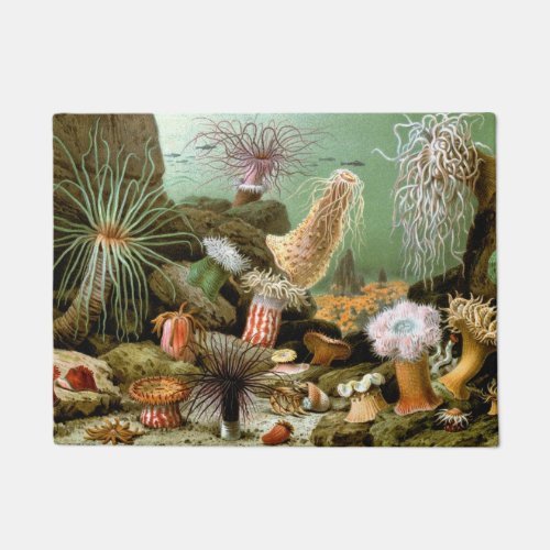 Sea Anemones Vintage Marine Life Ocean Animals Doormat