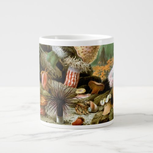 Sea Anemones Vintage Marine Life Ocean Animals Giant Coffee Mug