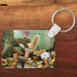 Sea Anemones, Vintage Marine Life Ocean Animals Keychain