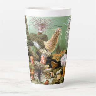 Sea Anemones, Vintage Marine Life Ocean Animals Latte Mug