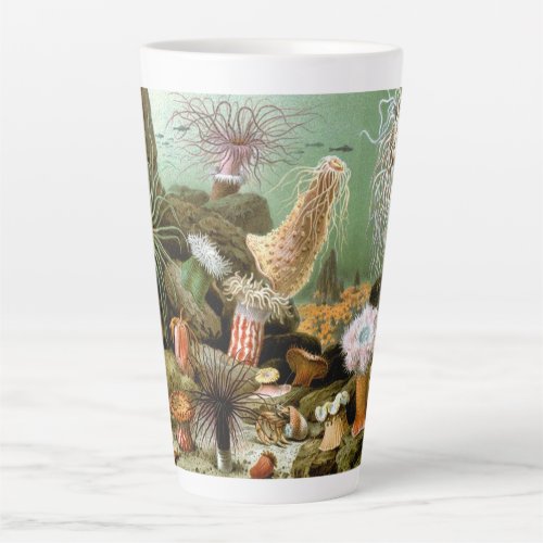 Sea Anemones Vintage Marine Life Ocean Animals Latte Mug