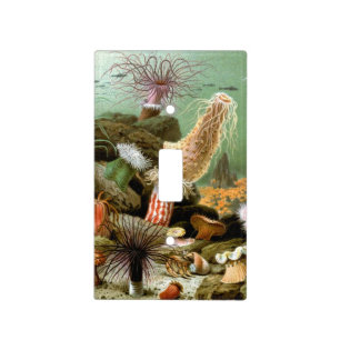 Sea Anemones, Vintage Marine Life Ocean Animals Light Switch Cover