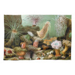 Sea Anemones, Vintage Marine Life Ocean Animals Towel