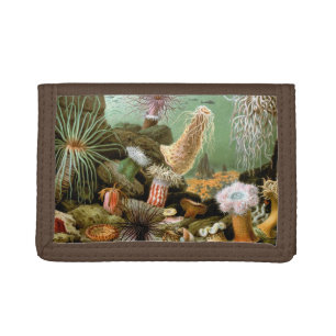 Sea Anemones, Vintage Marine Life Ocean Animals Tri-fold Wallet