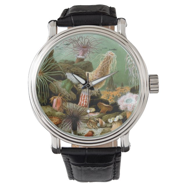 Sea Anemones, Vintage Marine Life Ocean Animals Watch (Front)