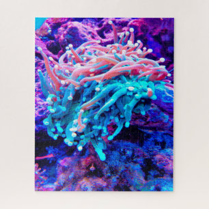 Sea Anemonies Jigsaw Puzzle