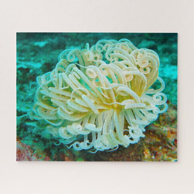 Sea Anemonies Jigsaw Puzzle (Horizontal)