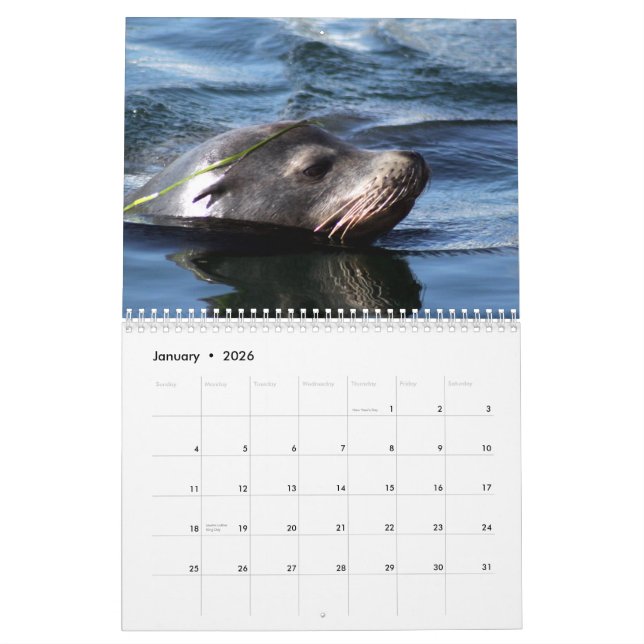 Sea Animals 2015 Calendar (Jan 2026)