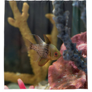 Sea Animals Shower Curtain