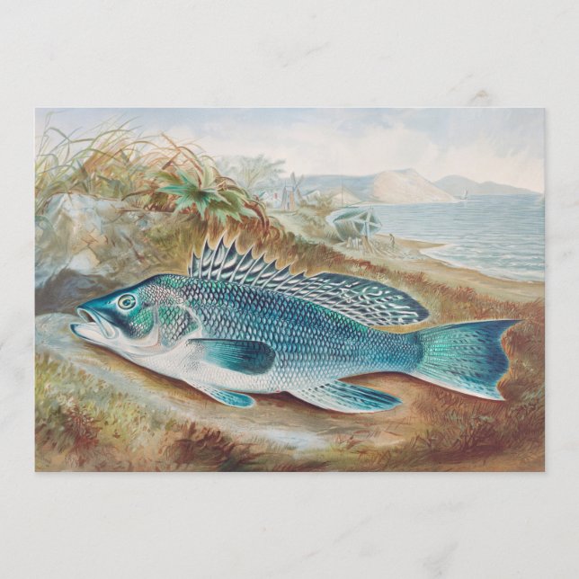 Sea Bass by S.A. Kilbourne, Vintage Fish Invitation (Front)
