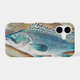 Sea Bass by S.A. Kilbourne, Vintage Fish iPhone 17 Case