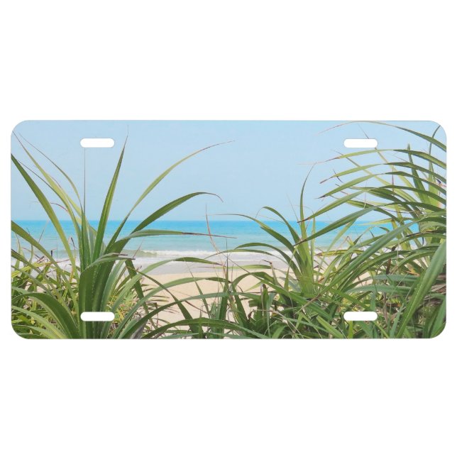 sea, beach, palm, nature, summer, tree, tropical, license plate (Front)