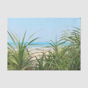 sea, beach, palm, nature, summer, tree, tropical, tissue paper