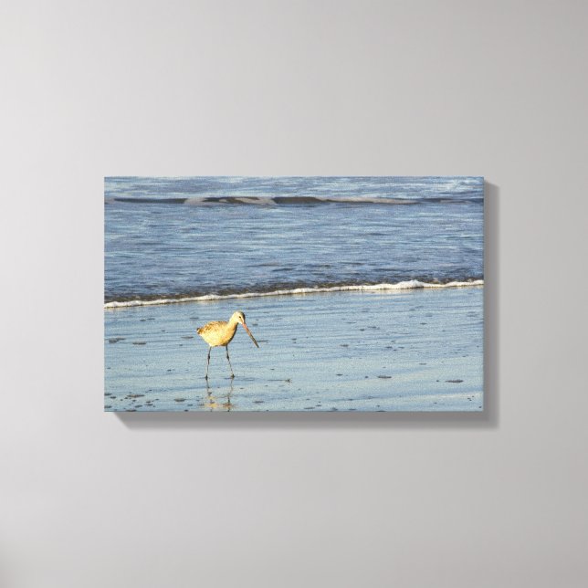 Sea Bird 4 Canvas Print (Front)
