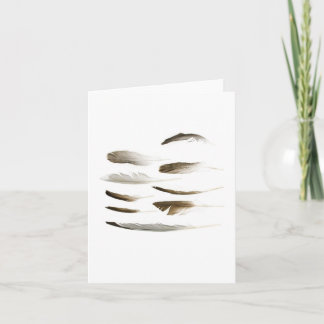 Sea Bird Feather Note Card