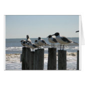 SEA BIRDS (Front Horizontal)