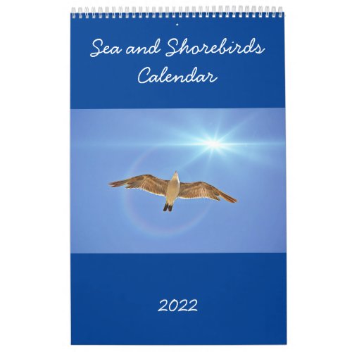 Sea Birds and Shore Birds Calendar 2022