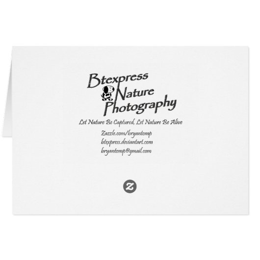 Sea Breeze (5.0) (Back Horizontal)