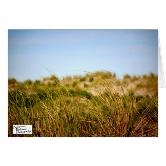 Sea Breeze (5.0) Cards