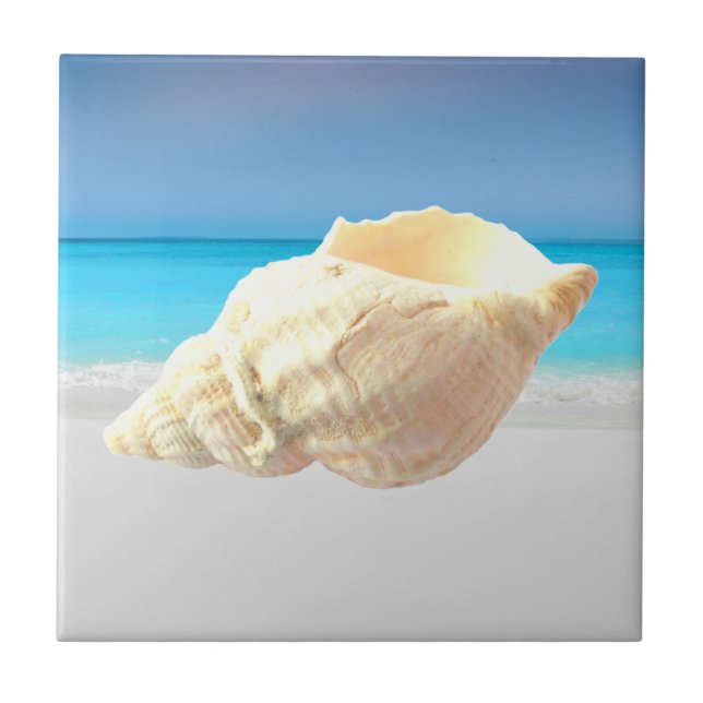 Sea caracol & ocean ceramic tile (Front)