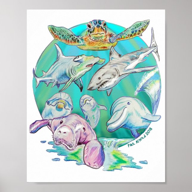 Sea Circle of Life Value Poster Paper (Matte) (Front)