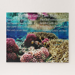 sea coral and two clown fish jigsaw puzzle