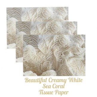 Sea Coral Beautiful Creamy White Photographic
