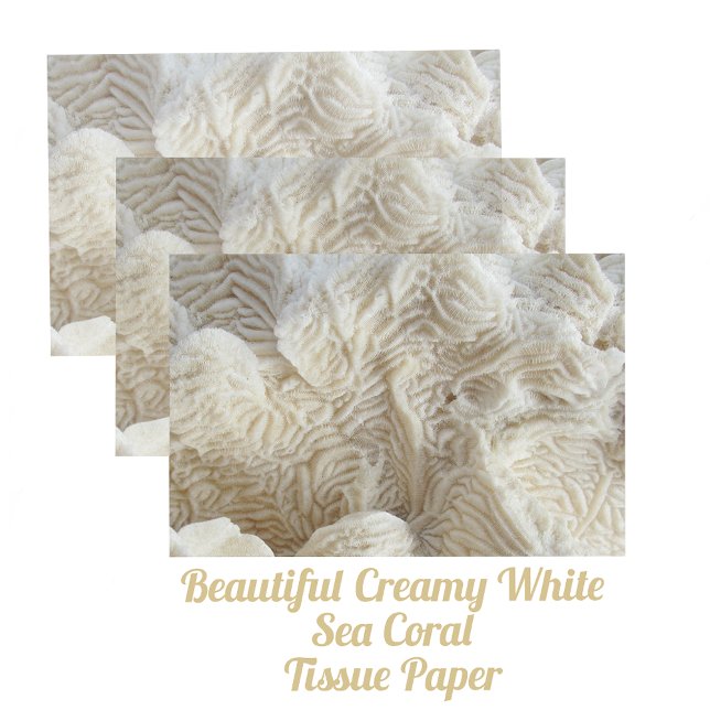 Sea Coral Beautiful Creamy White Photographic Tissue Paper (Creator Uploaded)