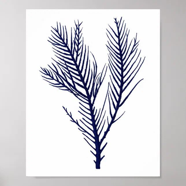 Sea Coral Navy Blue Beach Wall Decor Zazzle