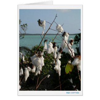 Sea Cotton Cards