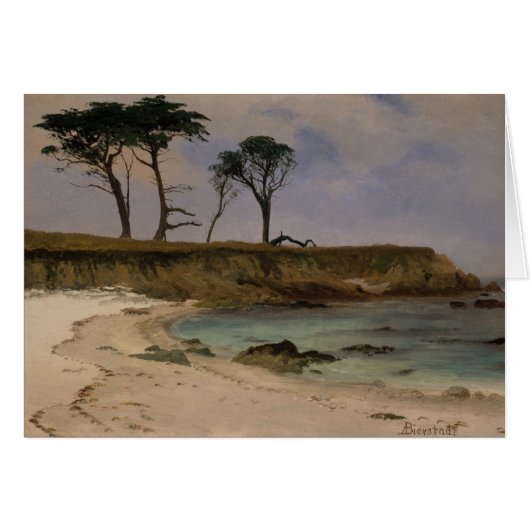 Sea Cove Cards (Front Horizontal)