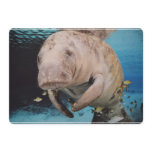 Sea Cow Swimming Invitation